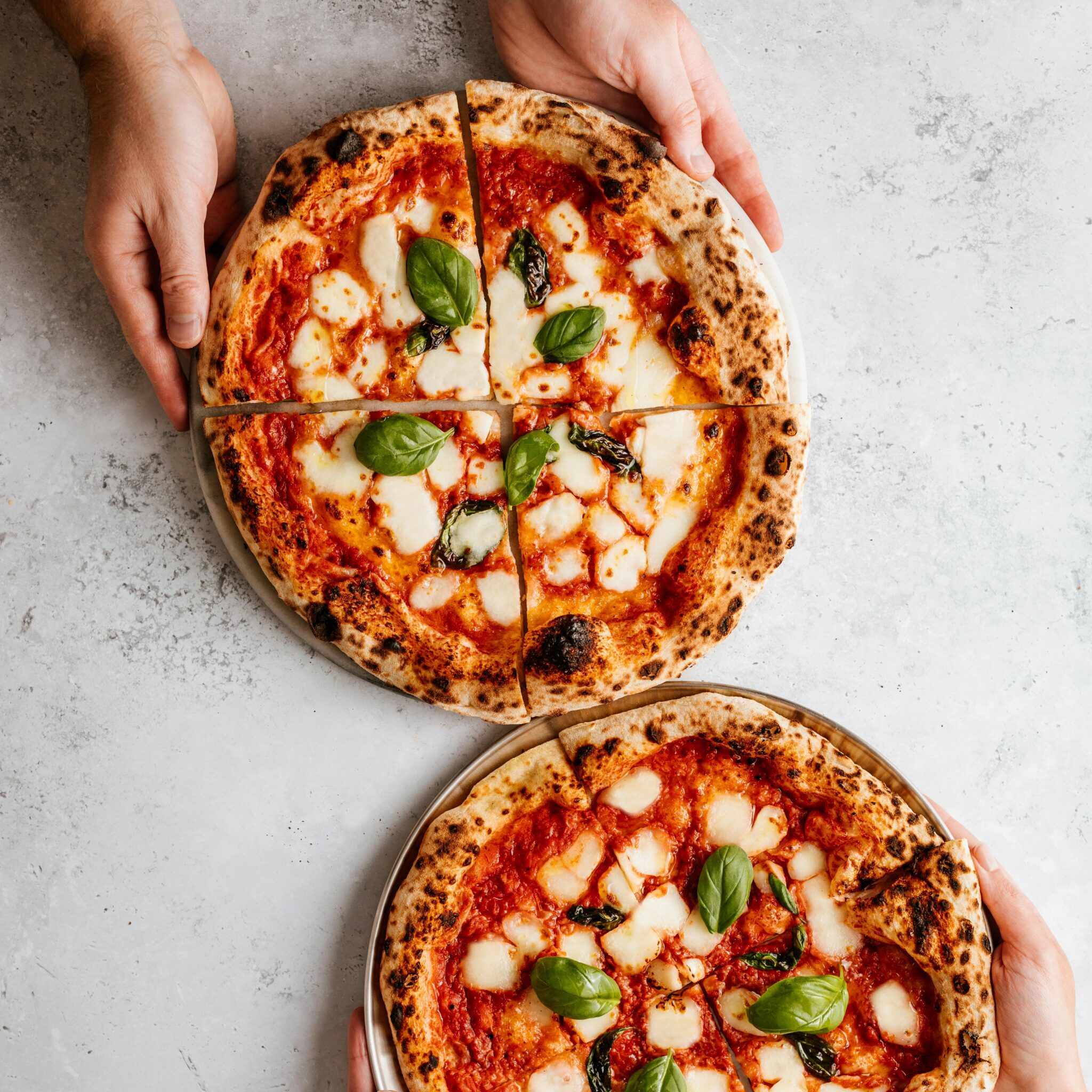 Delicious Margherita pizzas with basil leaves held by hands on a rustic gray table.